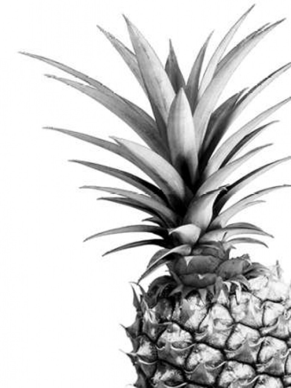 Pineapple - BW Poster Print by Lexie Greer - Item # VARPDXG835D